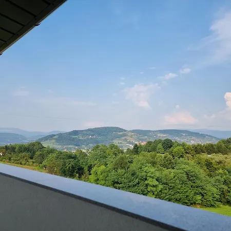 Park Ravne 公寓 维索科