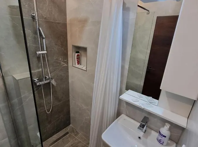 公寓 Park Ravne 维索科